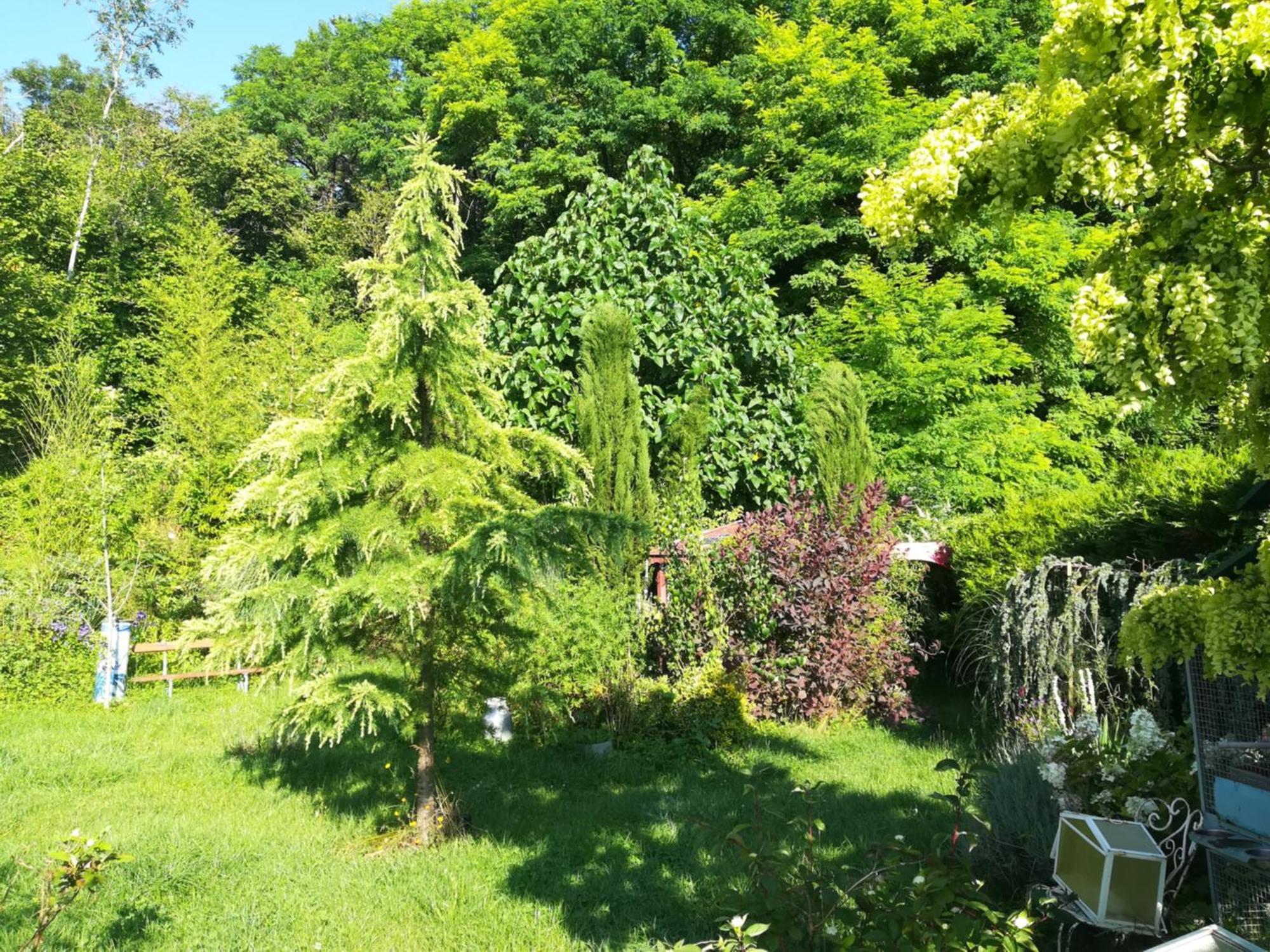 Apiculteur Loue 2 Chambres Dans Cadre Verdoyant Pagny-sur-Meuse Ngoại thất bức ảnh
